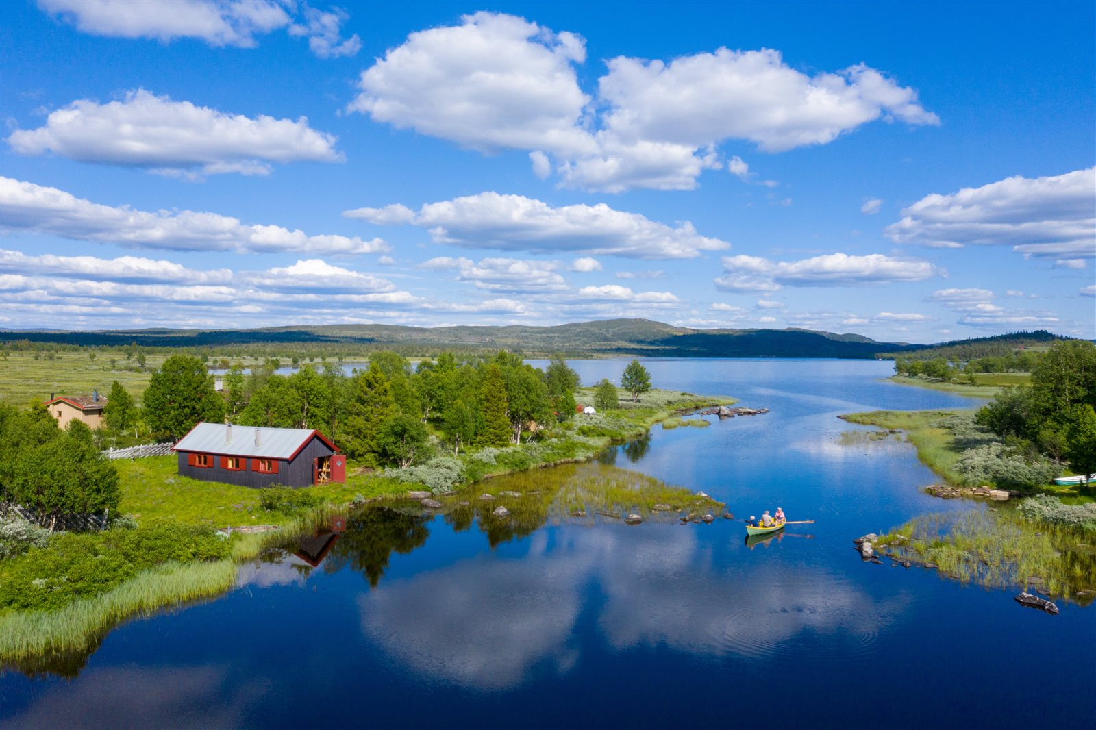 0 1600 False False 1 Jpg 85 Https Hub Em1 No Media Images 2 2341014