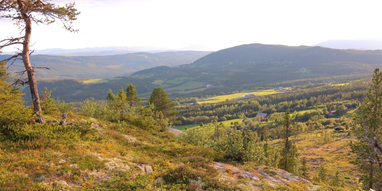 Robølshøvda Løypemaskin 2